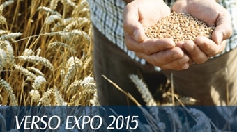 Verso Expo 2015 - Ripensare i beni comuni