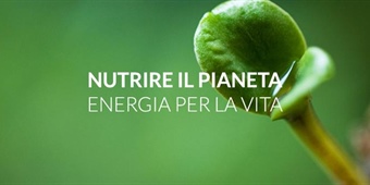 “Nutrire il pianeta, energia per la vita. Le povertà e le politiche sociali e del lavoro dell’UE”