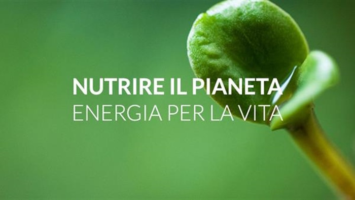 “Nutrire il pianeta, energia per la vita. Le povertà e le politiche sociali e del lavoro dell’UE”