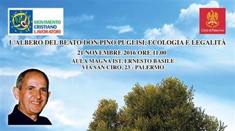 Palermo: L'albero del Beato don Pino Puglisi, ecologia e legalità