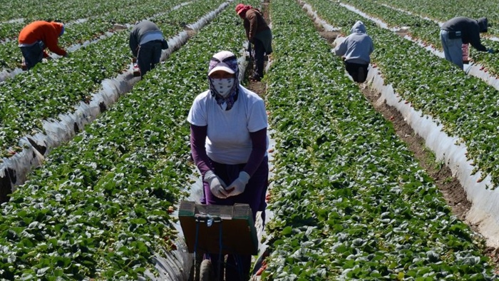 Regolarizzazione degli stranieri: sarà “pandemia” dei diritti?