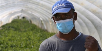 Parte la regolarizzazione del lavoro straniero: abbiamo le carte in regola!