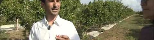 27/05/2022 TGR Sicilia - Trapani: "I buoni frutti"