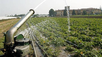 Crisi agricoltura trapanese. Mcl e Feder.Agri incontrano il Prefetto