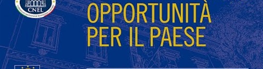 Il Terzo Settore, opportunità per il Paese